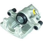 Jarrusatula sopii Ford/Volvo