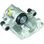 Jarrusatula sopii Ford/Volvo