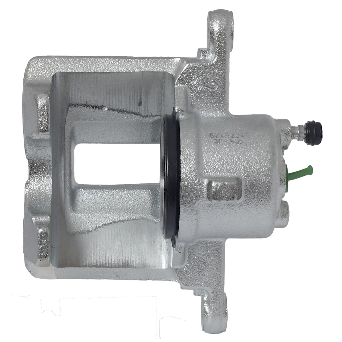 Jarrusatula sopii Toyota