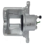 Jarrusatula sopii Toyota