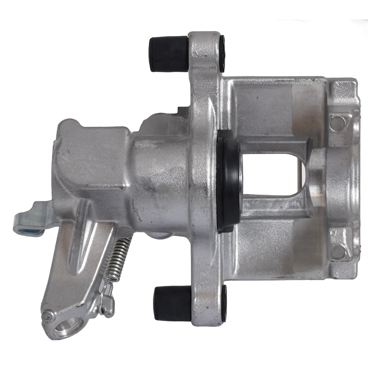 Jarrusatula sopii Saab yms.