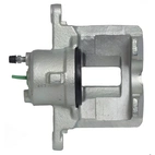 Jarrusatula sopii Toyota