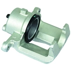 Jarrusatula sopii Toyota