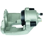 Jarrusatula sopii Ford/Volvo