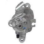 Jarrusatula sopii Opel