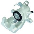 Jarrusatula sopii Opel