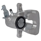 Jarrusatula sopii VAG, Hö B