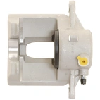 Jarrusatula sopii MB