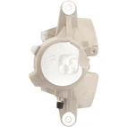 Jarrusatula sopii MB