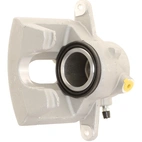 Jarrusatula sopii MB