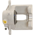 Jarrusatula sopii MB