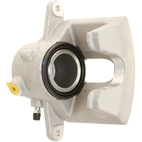 Jarrusatula sopii MB