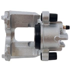 Jarrusatula sopii Ford