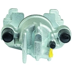 Jarrusatula sopii Ford