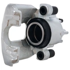 Jarrusatula sopii Ford