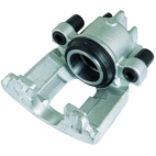 Jarrusatula sopii Ford