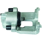 Jarrusatula sopii Ford