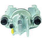 Jarrusatula sopii Ford