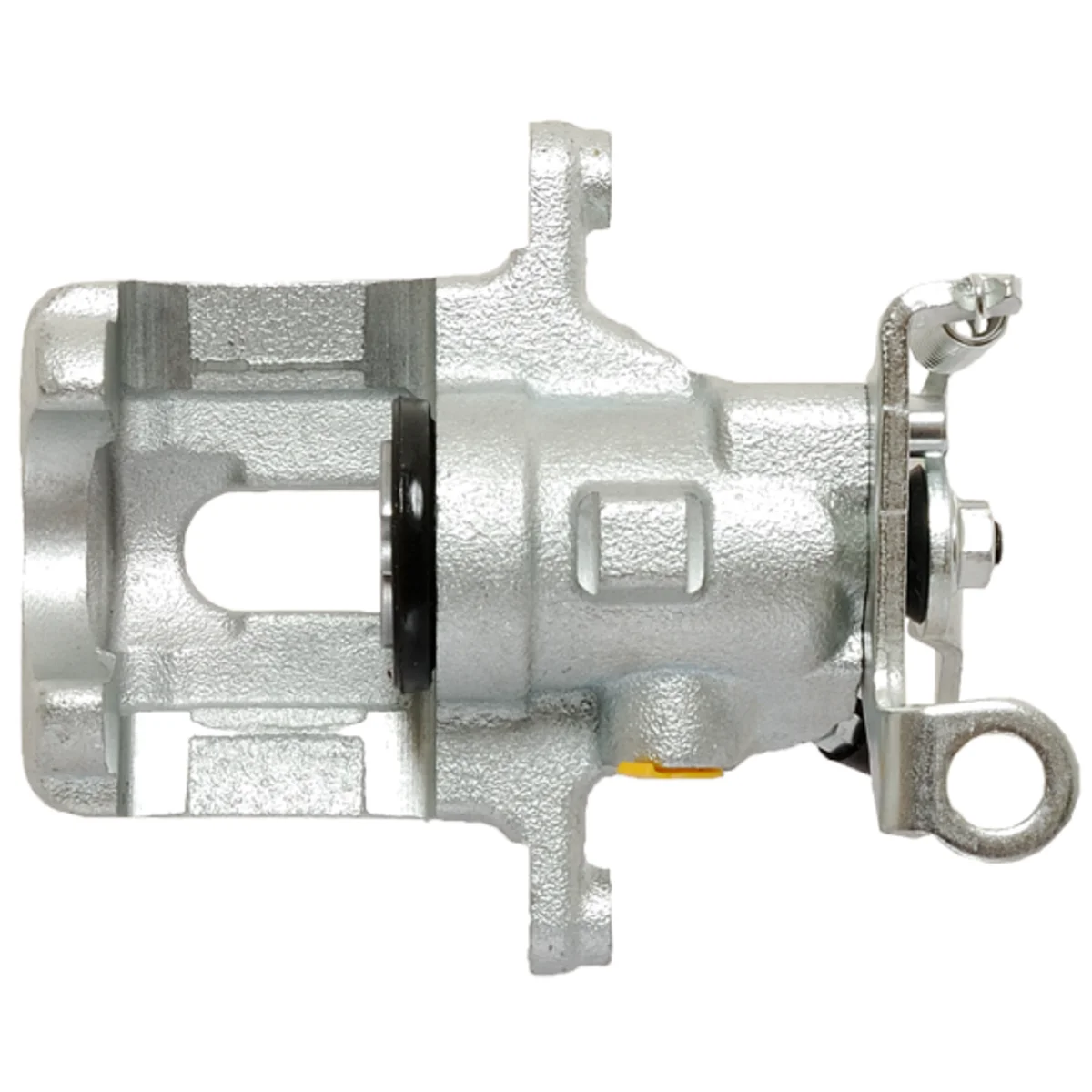 Jarrusatula sopii Ford