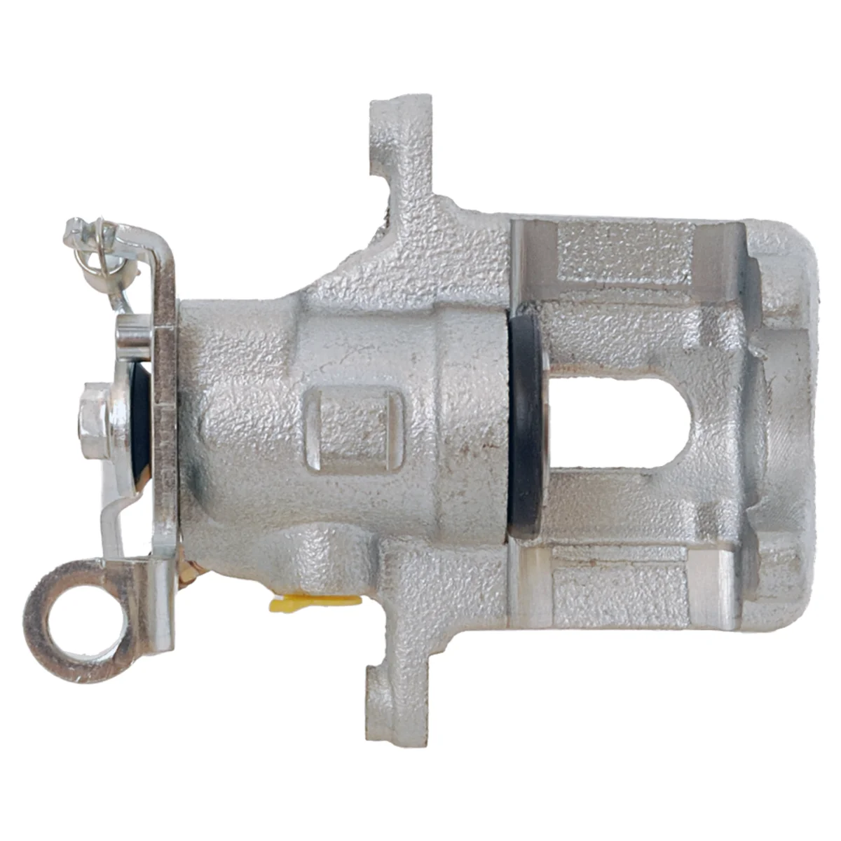 Jarrusatula sopii Ford