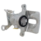 Jarrusatula sopii Ford