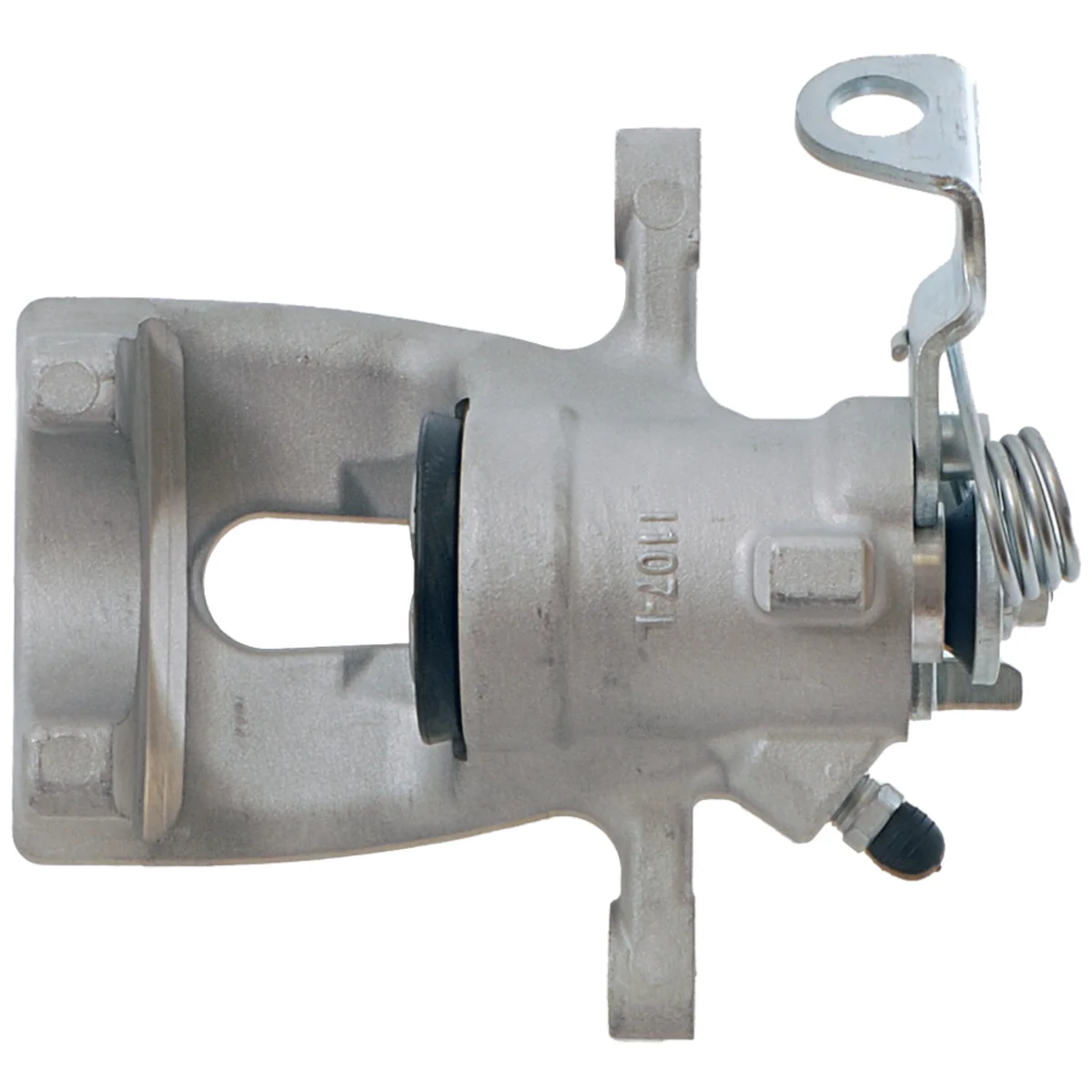 Jarrusatula sopii Opel