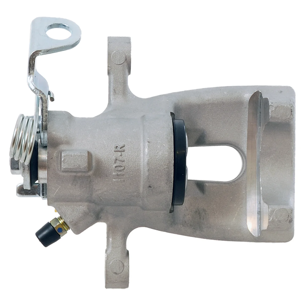 Jarrusatula sopii Opel