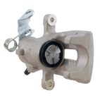 Jarrusatula sopii Opel