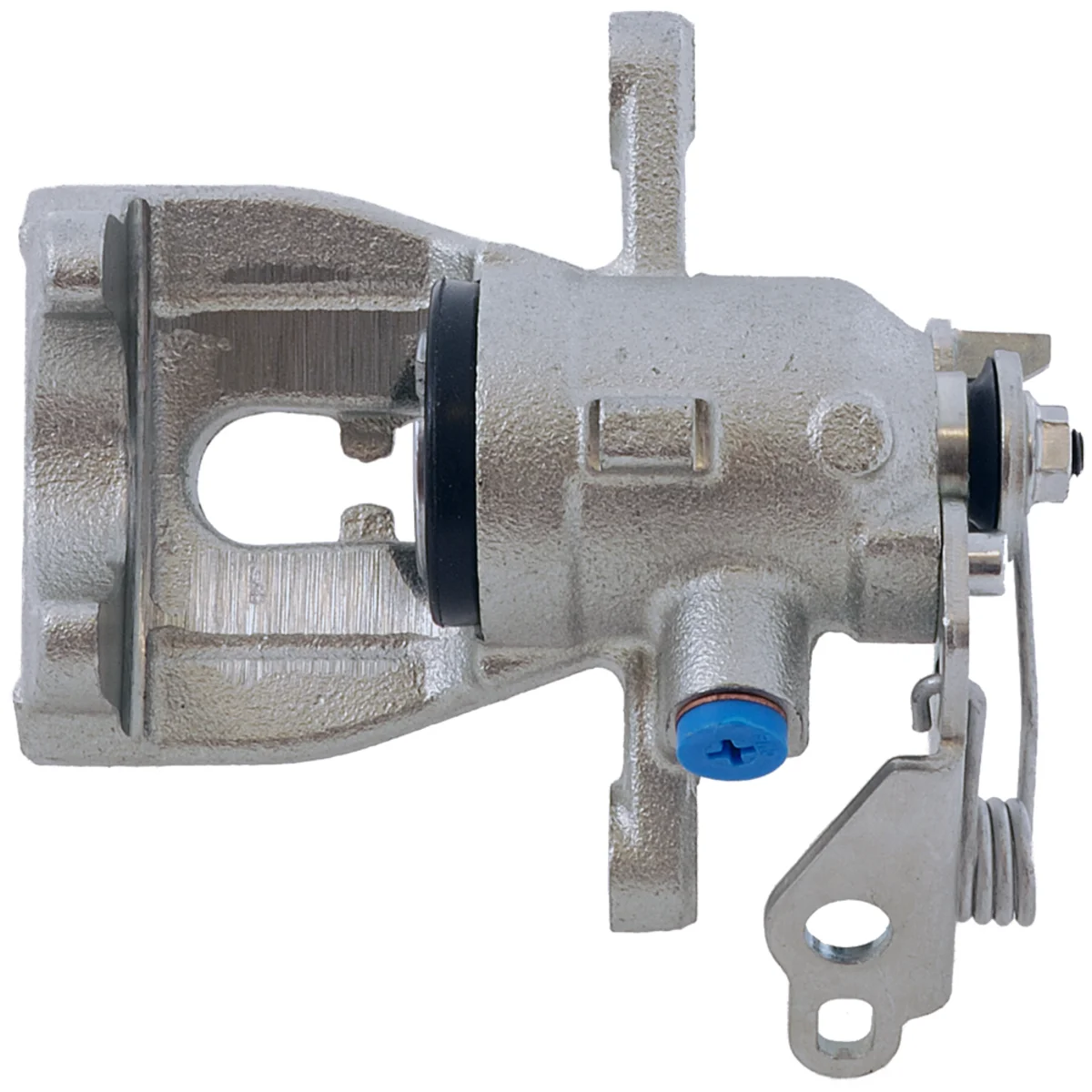 Jarrusatula sopii Ford