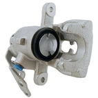 Jarrusatula sopii Ford