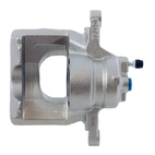 Jarrusatula sopii Toyota/Peu/Citr