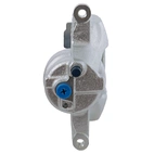 Jarrusatula sopii Toyota/Peu/Citr