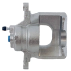 Jarrusatula sopii Toyota/Peu/Citr