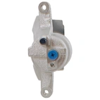 Jarrusatula sopii Toyota/Peu/Citr