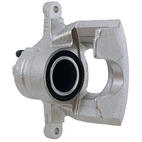 Jarrusatula sopii Toyota/Peu/Citr