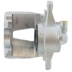 Jarrusatula sopii Opel/PSA