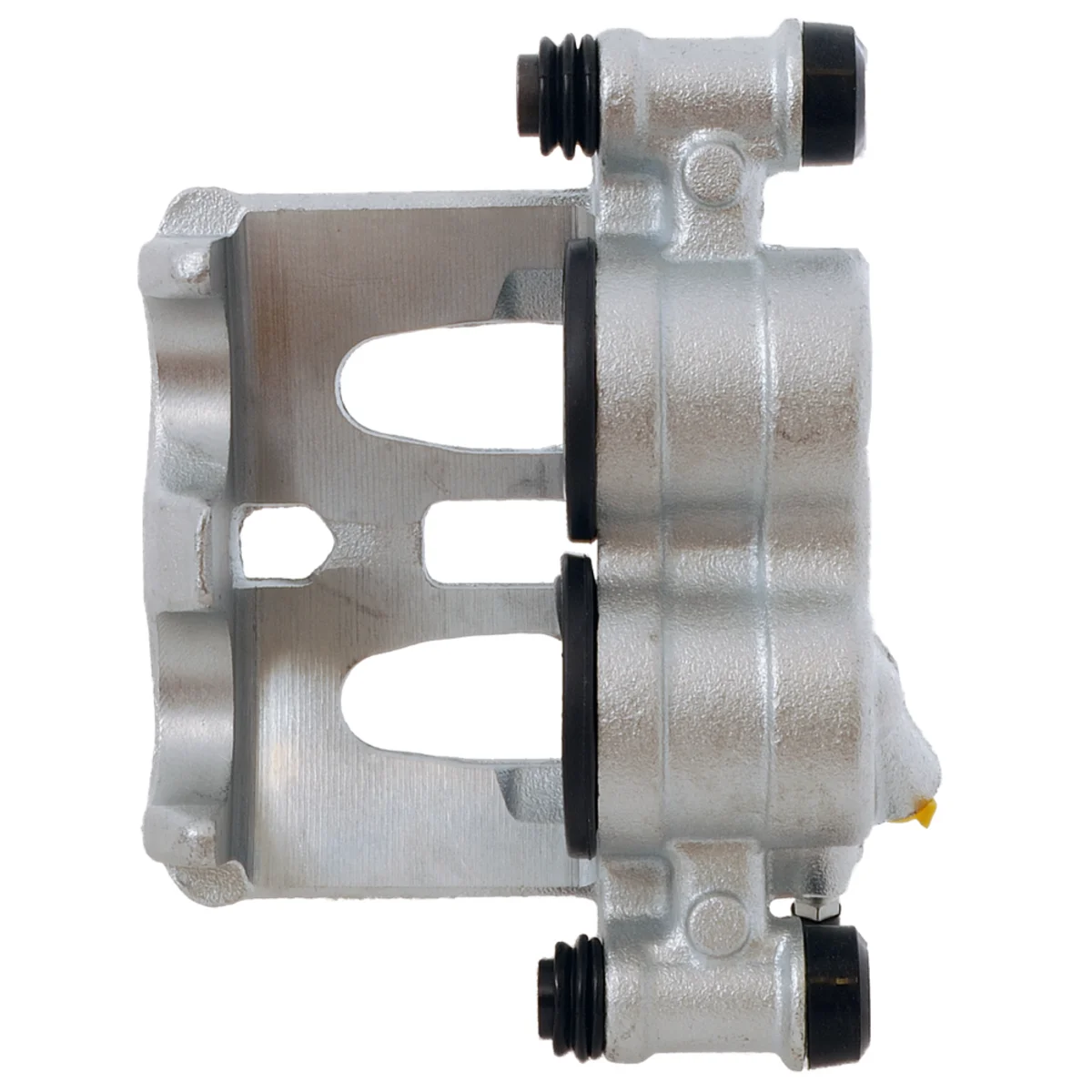 Jarrusatula sopii MB/VW