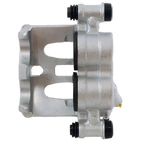 Jarrusatula sopii MB/VW