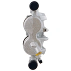 Jarrusatula sopii MB/VW