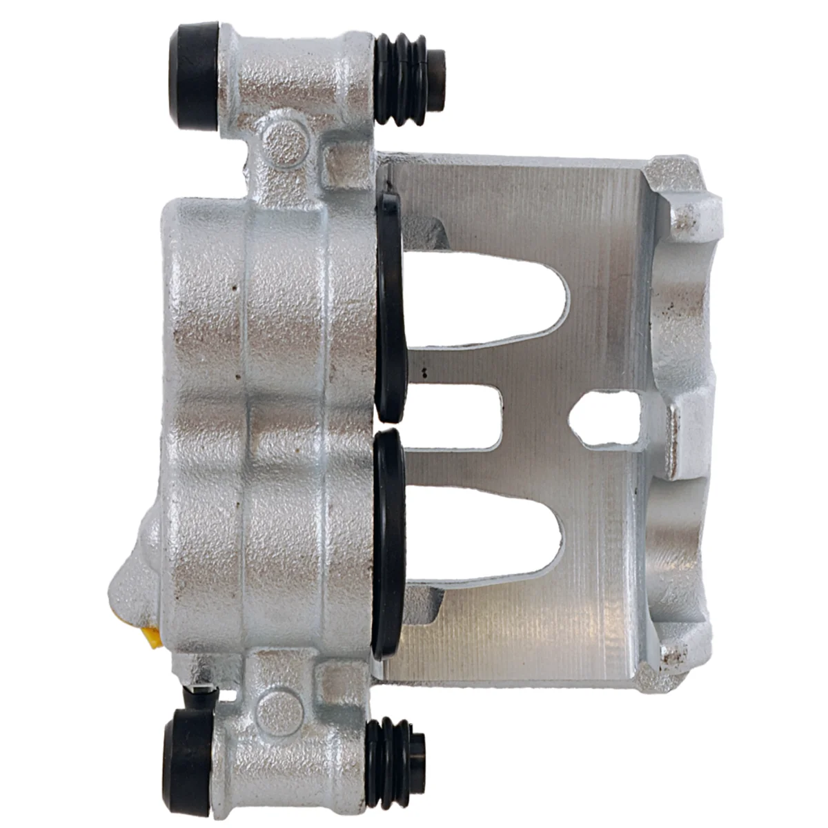 Jarrusatula sopii MB/VW