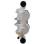 Jarrusatula sopii MB/VW