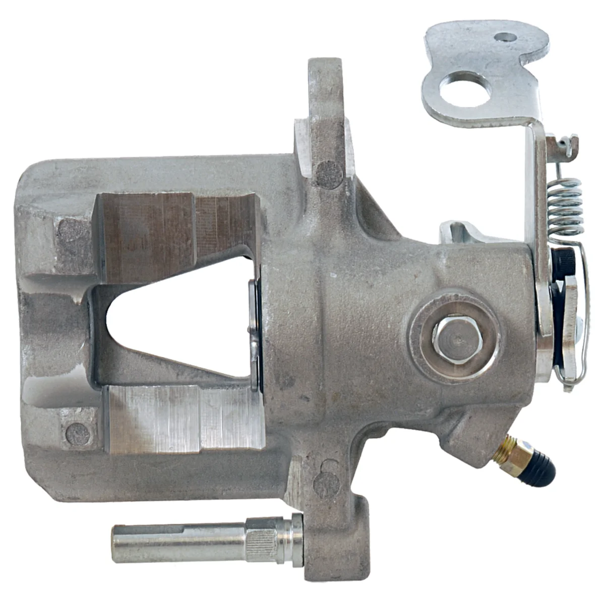 Jarrusatula sopii Opel