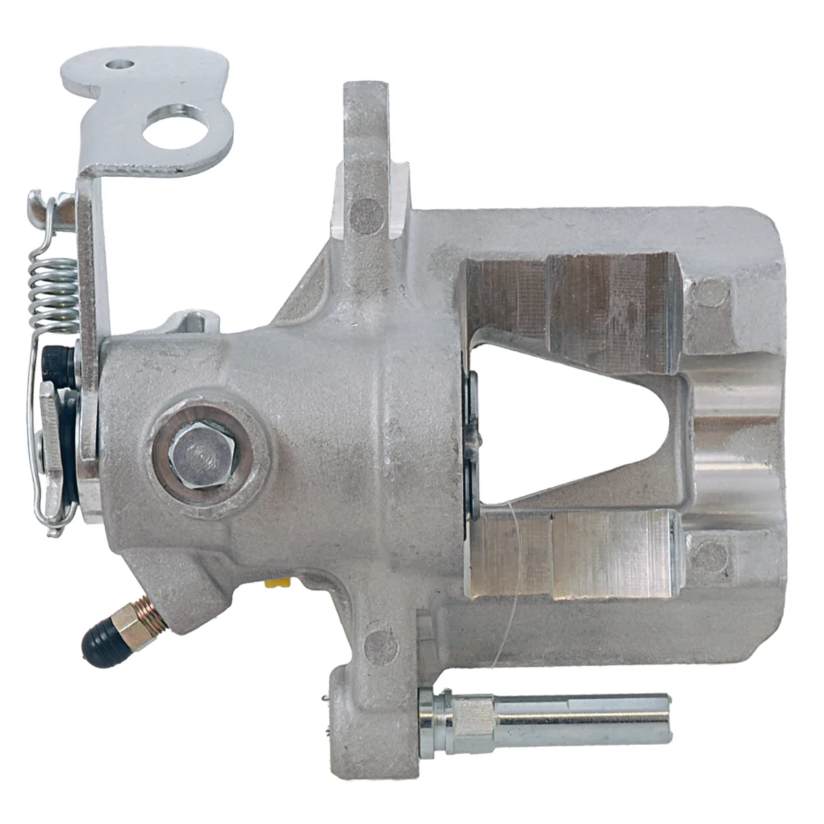 Jarrusatula sopii Opel