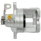 Jarrusatula sopii Opel/Renault