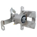 Jarrusatula sopii Toyota