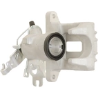 Jarrusatula sopii VW (h/b)