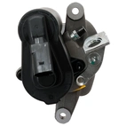 Jarrusatula sopii VW