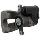 Jarrusatula sopii VW