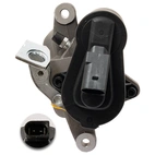 Jarrusatula sopii VW