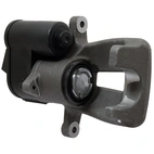 Jarrusatula sopii VW